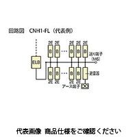 河村電器 避雷器付ホーム分電盤 CNH1 3616-1FL 1個（直送品）