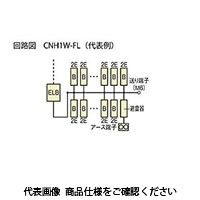 河村電器 避雷器付ホーム分電盤 CNH1W 3618-1FL 1個（直送品）