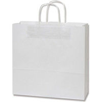【ケース販売】HEIKO 紙袋 25チャームバッグ 3才 E 晒白無地 003240200 1ケース(50枚×6袋 合計300枚)（直送品）