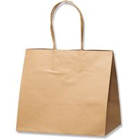 【ケース販売】HEIKO 紙袋 ロングハンドルバッグ 未晒無地 003269981 1ケース(25枚入×4袋 合計100枚)（直送品）