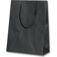 アスクル】【ケース販売】HEIKO 紙袋 スムースバッグ 16-2 黒無地 