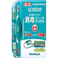日本製紙クレシア スコッティ消毒ウェットガードボックス40枚 4901750774004 1セット（12個）（直送品）