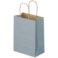 スーパーバッグ 丸紐 ニュアンスカラー手提紙袋 S（幅200×高さ270×マチ幅120ｍｍ） クールグレー 1袋（50枚入）