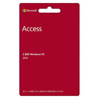 【販売開始時期未定】マイクロソフト Access 2019 077-07207（直送品）