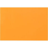 大王製紙 再生色画用紙 8ツ切 10枚 オレンジ C-08（直送品）