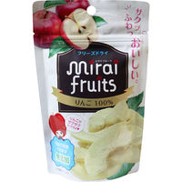 ビタットジャパン ミライフルーツ りんご 12g　1袋(12g入)×12セット（直送品）
