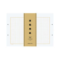 コクヨ （KOKUYO） B4特判 縦書（20×20） 100枚×5束 1パック（500枚入）