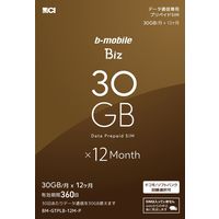 日本通信 b-mobile 申込パッケージ