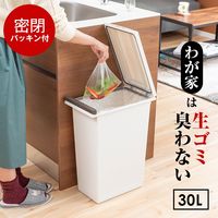 アスベル プッシュ ゴミ箱 30lの人気商品・通販・価格比較 - 価格.com