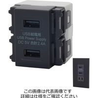 因幡電機産業（INABA） USBコンセント USBR3701DGJP 1台（直送品）