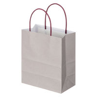 アスクルカタログ リサイクル手提げ紙袋「Come bag／カムバッグ」180×210×100mm 1袋（50枚入） オリジナル