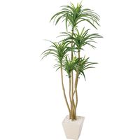 ポピー 人工樹木／人工観葉植物 ユッカ GLA-1198 グリーン 1鉢