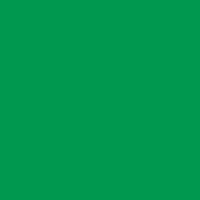 アスクル】ジョインテックス 単色おりがみ薄緑 100枚 B260J-47 1パック 