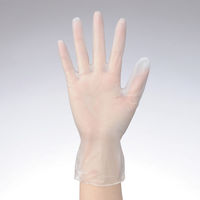 使いきりプラスチック手袋 粉なし L クリア 1箱（100枚入） 川西工業（わけあり品）