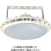 アスクル】ティーネットジャパン T-NET NT700 直付け型 レンズ可変 