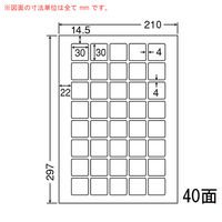 東洋印刷 nana カラーレーザープリンタ用耐水光沢紙ラベル A4 SCL-71 1箱(400シート)（直送品）
