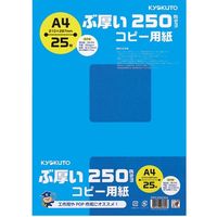 日本ノート ぶ厚いコピー用紙 PPC250A4*20冊 PPC250A4(20) 1箱（直送品