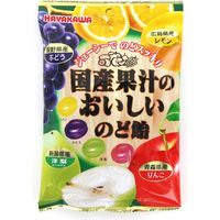 早川製菓 国産果汁おいしいのど飴 4902462006520 90G×20個（直送品）