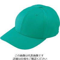 山田辰 3WAYカラーエプロン ターコイズブルー フリー 14-555-TB-F 1セット（2枚）（直送品）