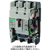 富士電機 EW250EAG EW250EAG-3P125B 1個（直送品）