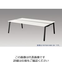 ナイキ 大型ベンチテーブル （基本型） （両面タイプ） RXFN1414K 通販