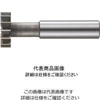フクダ精工 FKD STC-42X30 [FKD 千鳥刃Tスロットカッター42×30] - www 