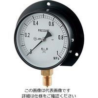 カクダイ 汎用圧力計（Bタイプ） 649-872-04C 1個（直送品）