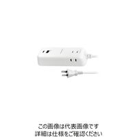 カシムラ 充電器 3AC-USB-TypeC-PD30W 1m WH AC-008 1個（直送品）