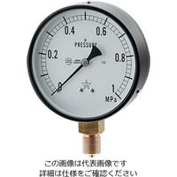 カクダイ 蒸気用圧力計（一般用・Aタイプ） 649-873-03C 1個（直送品）