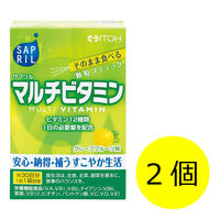 井藤漢方製薬 サプリル マルチビタミン 1セット（30日分×2箱） 60袋 栄養機能食品