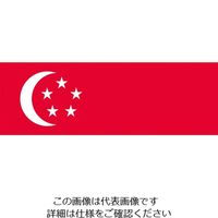 東京製旗（TOSPA） 東京製旗 国旗No.1（70×105cm） シンガポール 416326 1枚 207-3713（直送品）