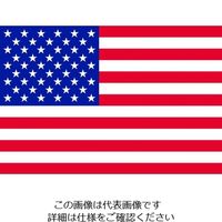 ASKUL】東京製旗（TOSPA） 東京製旗 国旗No.2（90×135cm） 通販