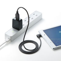 サンワサプライ USB充電器（2A・高耐久タイプ） ACA-IP52BK 1個（直送品）