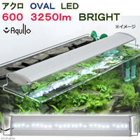 Aqullo（アクロ） OVAL LED 600 3250lm BRIGHT Series 60cm水槽用照明 274075 1個（直送品）