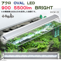 Aqullo（アクロ） OVAL LED 900 5500lm BRIGHT Series 274077 1個（直送品）