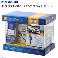 寿工芸 レグラス LEDエコライトセット