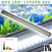 KSS LED-12000K 900 90〜100cm水槽用照明 ライト 熱帯魚 333086 1個（直送品）