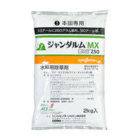 シンジェンタジャパン シンジェンタ ジャンダルムMX豆つぶ250 2kg 2056578 1袋（直送品）