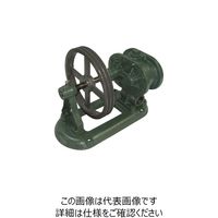 亀嶋鐵工所 NK ギヤーポンプ （単独ベース・横型） ME-1YV 2 1台 850-9723（直送品）