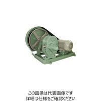 亀嶋鐵工所 NK ギヤーポンプ（安全弁付・電動機連結型） ME-2S 11/4 1台 850-9726（直送品）