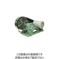 亀嶋鐵工所 NK ギヤーポンプ（安全弁付・電動機連結型） ME-2S 1 1台 850-9724（直送品）
