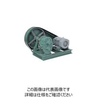 亀嶋鐵工所 NK ギヤーポンプ（電動機連結型） ME-1S 21/2 1台 850-9711（直送品）