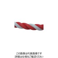 ユタカメイク（Yutaka） ユタカメイク ロープ PEロープ巻物 12φ×200m コウハク PE-65 1個 113-3939（直送品）