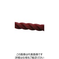 ユタカメイク（Yutaka） ユタカメイク ロープ PEロープ巻物 12φ×200m レッド PE-61 1個（200m） 113-7049（直送品）