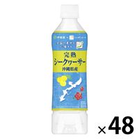 伊藤園 完熟 シークヮーサー 沖縄県産 500g ニッポンエール 1セット（48本）