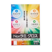 アジア原紙 Nonラミ グロス カードタイプ LBPW-NC