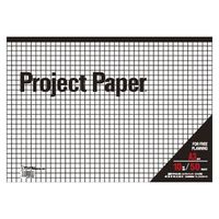 オキナ Ａ３プロジェクト １０ミリ方眼 PPA30S 5冊（直送品）