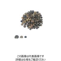 ナリカ 実習用化石標本 アンモナイト L55-3626 1セット（4セット）（直送品）
