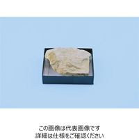 ナリカ 標本用岩石 泥岩 L55-4172-05 1セット（6箱）（直送品）