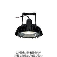 日立 高天井用LEDランプ アームタイプ 特殊環境対応 防湿・防雨形（オイルミス WGBME16CMNC1 256-1701（直送品）